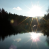 40.Into the sun @ NW Lake